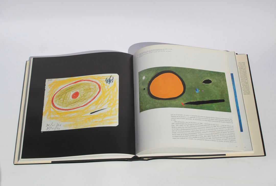 Las raíces de Miró