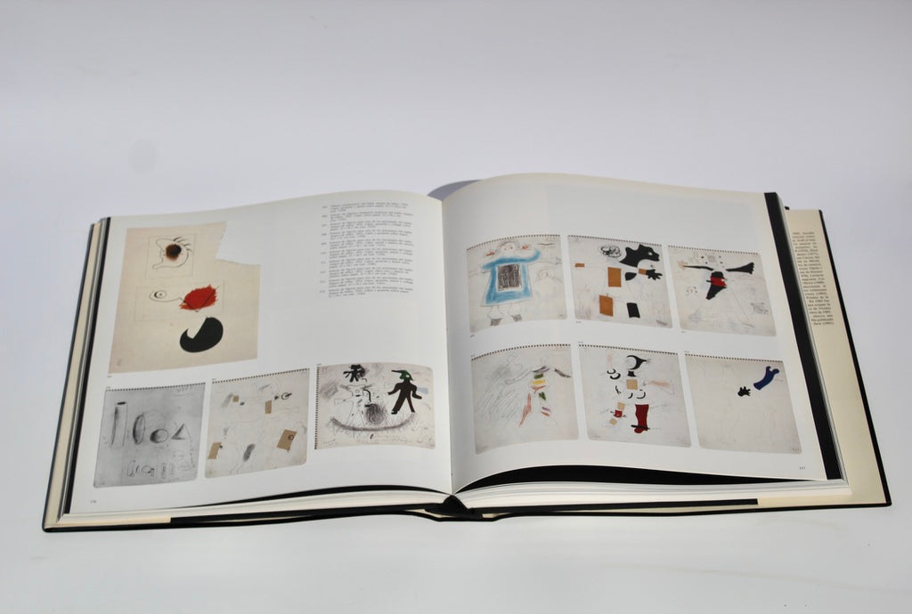 Las raíces de Miró