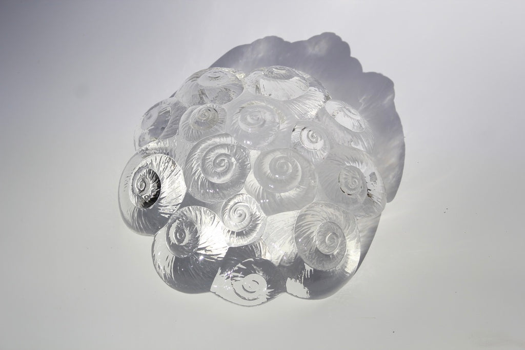 Crystal Seashell Bowl