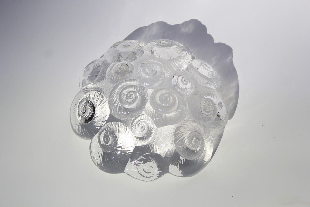 Crystal Seashell Bowl