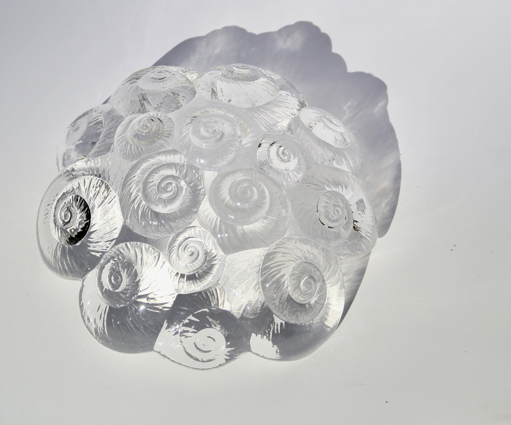 Crystal Seashell Bowl