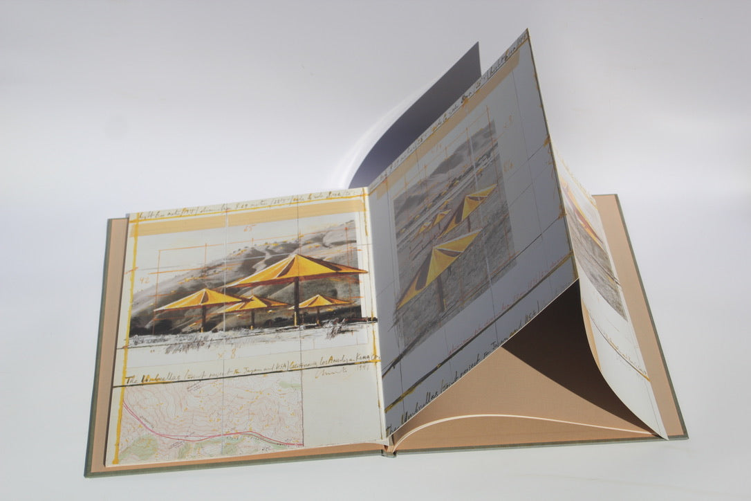 Christo and Jeanne-Claude: The Umbrellas